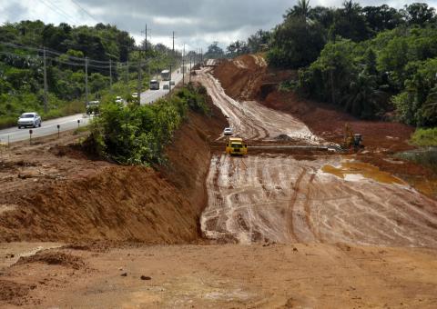 Ipaam cria Comissão de Fauna para reforçar proteção de animais silvestres